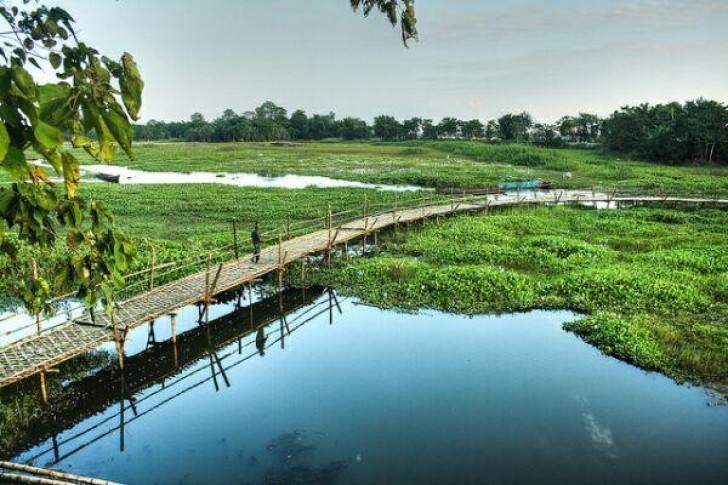 Majuli