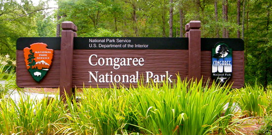 Congaree National Park, South Carolina