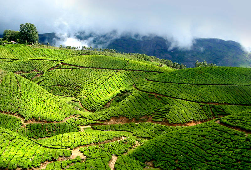 Munnar